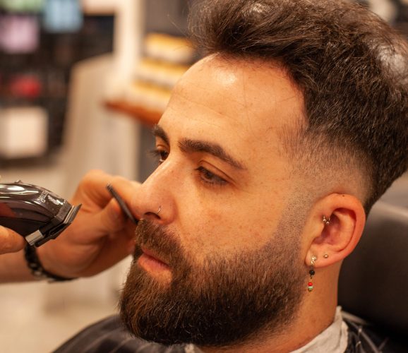 vghairart3